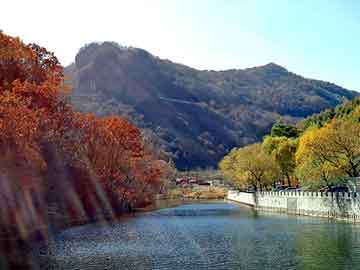 管家婆黑白马报图库，小宁波